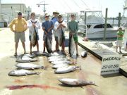 Phideaux Fishing, TUNAS and GAFFERS