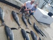 Phideaux Fishing, kING salmon alaska John