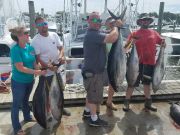 Phideaux Fishing, SAM and SAM IV