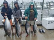 Phideaux Fishing, Tim and the graduates
