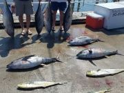 Phideaux Fishing, GREAT TIME