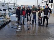 Phideaux Fishing, December Tuna