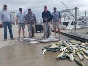 Phideaux Fishing, 70 and 80 pound tuna with mahi and other stuff