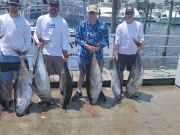 Phideaux Fishing, Big Tuna