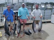 Phideaux Fishing, Great tuna fishing! Thanks Bart and crew