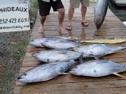 Phideaux Fishing, Tuna and mahi