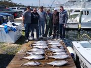 Thanks Chris and crew!!