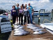 Phideaux Fishing, Pirates go fishing
