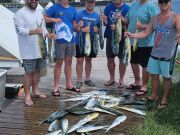 Phideaux Fishing, Mahi with a sail kicker!!