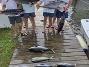 Outer Banks Fishing Charters, Good old fashion fishing