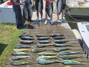 Phideaux Fishing Charters Outer Banks, Great fishing continues!!
