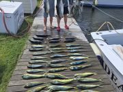 Phideaux Fishing Charters Outer Banks, Beautiful day!!