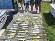 Phideaux Fishing Charters Outer Banks, Mahi Saved the Day