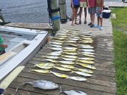 Phideaux Fishing Charters Outer Banks, Great July Fishing