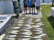 Phideaux Fishing Charters Outer Banks, No Tangles!!