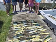 Phideaux Fishing Charters Outer Banks, Fantastic day!!