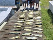 Phideaux Fishing Charters Outer Banks, Mahi Mahi