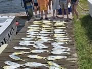 Phideaux Fishing Charters Outer Banks, Great mahi fishing — again!