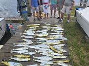 Phideaux Fishing Charters Outer Banks, Only 2 Tangles!