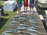 Phideaux Fishing Charters Outer Banks, Great Mahi Fishing Continues!