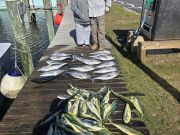 Phideaux Fishing Charters Outer Banks, Great day of fishing!