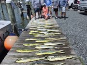 Phideaux Fishing Charters Outer Banks, June Fishing