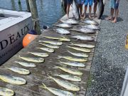 Phideaux Fishing Charters Outer Banks, A wonderful day on the water!!