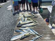 Phideaux Fishing Charters Outer Banks, Mahi Mahi Mahi