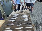 Phideaux Fishing Charters Outer Banks, Wonderful Day!!