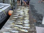 Phideaux Fishing Charters Outer Banks, Thanks to The Community Care Clinic of Dare!