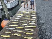 Phideaux Fishing Charters Outer Banks, Great Mahi Fishing
