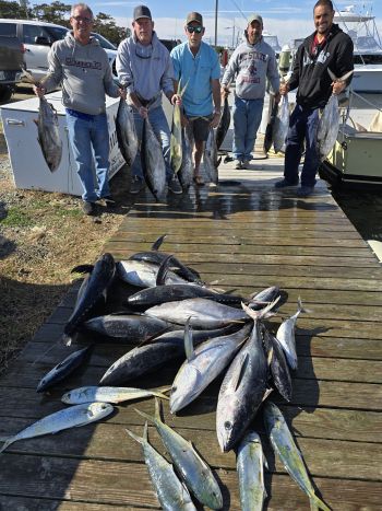 Phideaux Fishing, Hit the Yellowfin Limit!