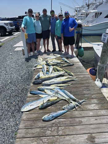 Phideaux Fishing Charters Outer Banks, Mahi Mahi Mahi