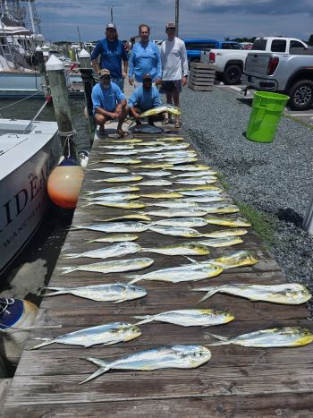 Phideaux Fishing Charters Outer Banks, Great Day Sunday