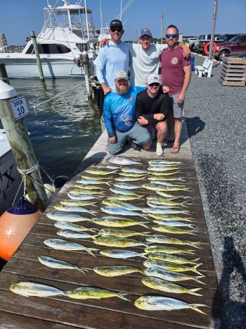 Phideaux Fishing Charters Outer Banks, A great week of Mahi fishing!!