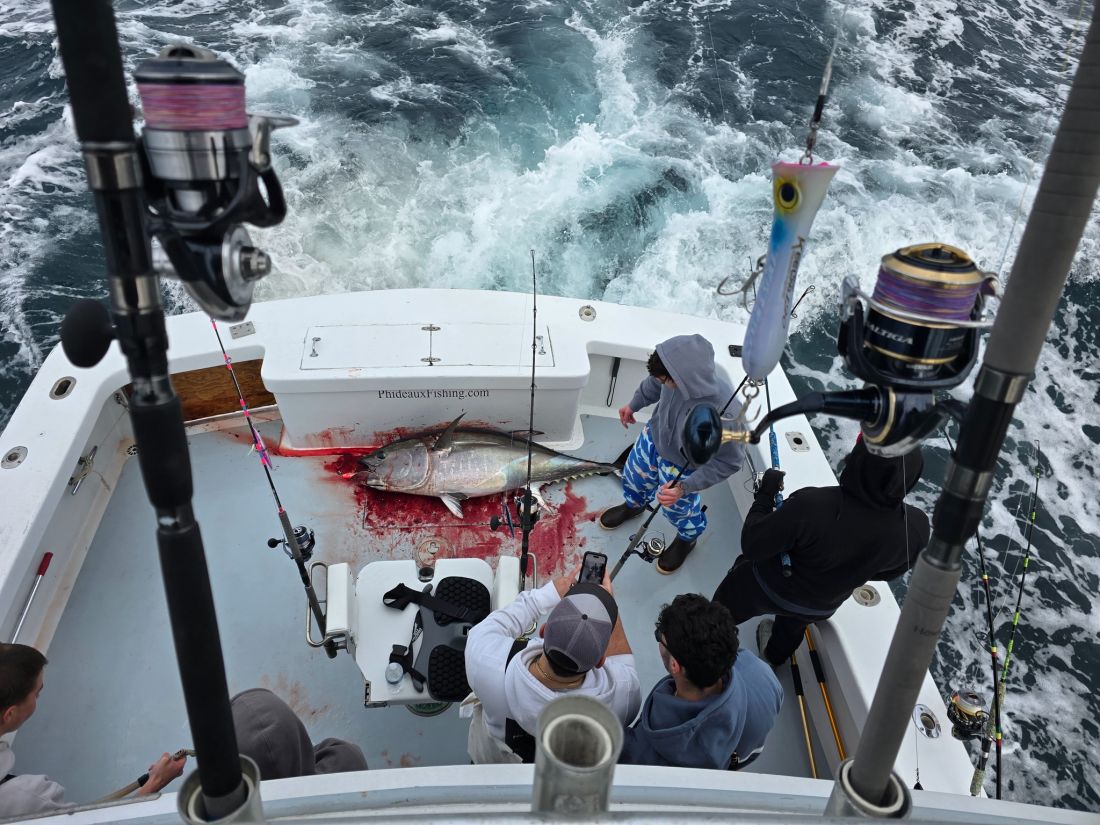 Phideaux Fishing Charters - Business Photo