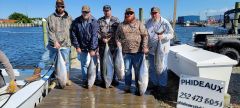Phideaux Fishing photo