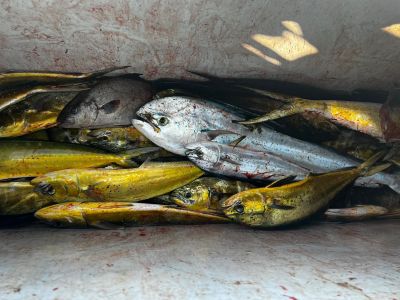 Phideaux Fishing photo